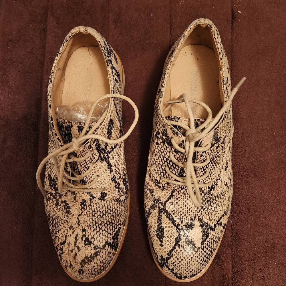 Snake Oxford Shoe